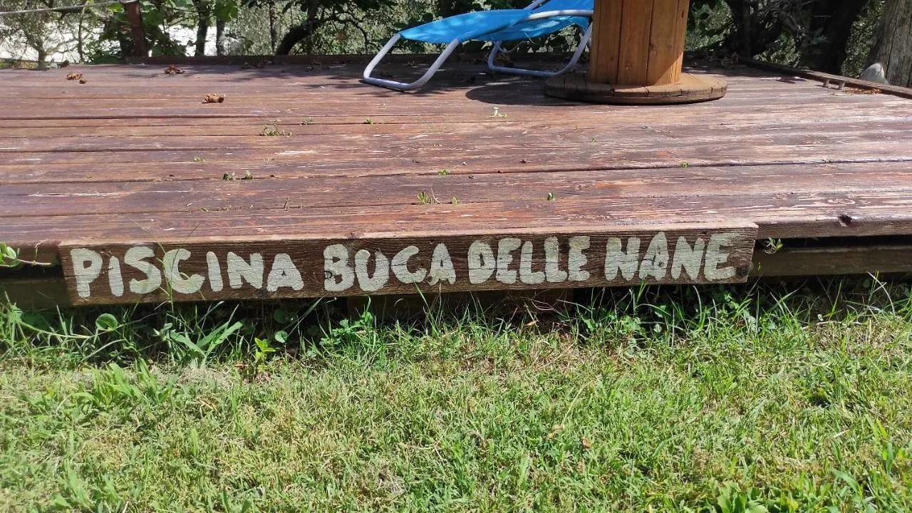 Alojamento de Acomodação e Pequeno-almoço B&B La Casina Di Iris Arezzo