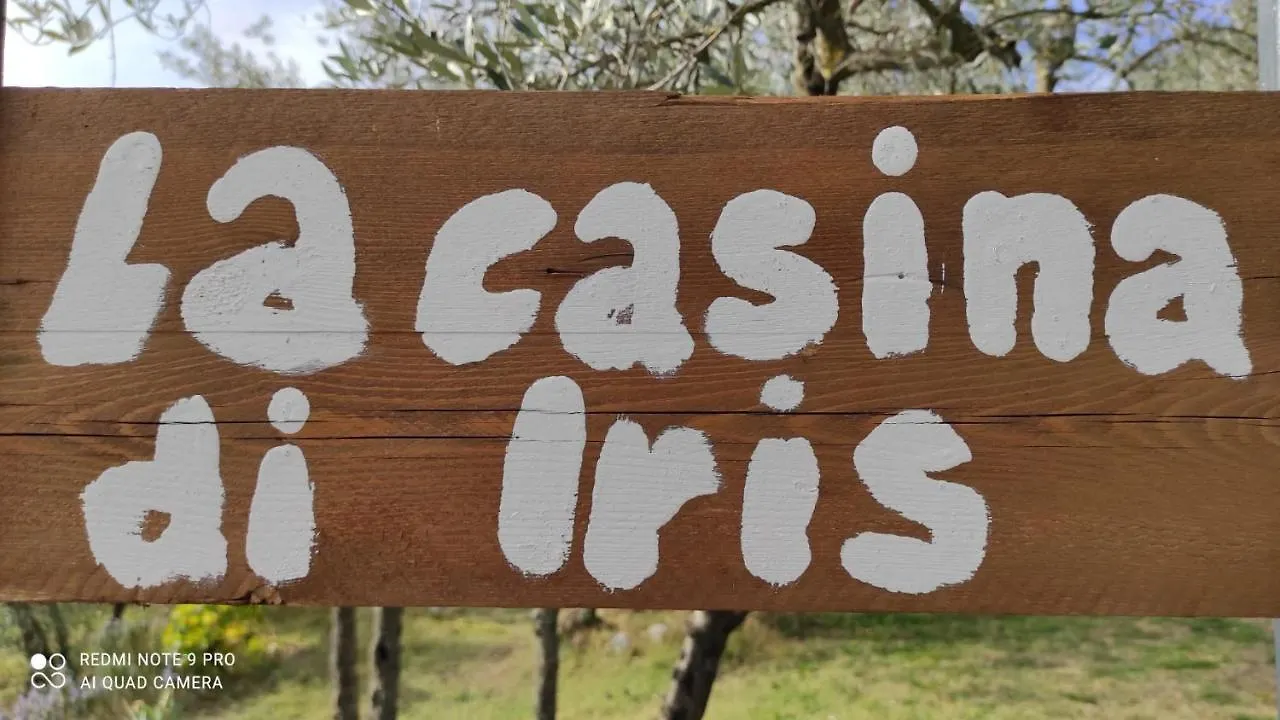 Bed and breakfast B&B La Casina Di Iris Arezzo