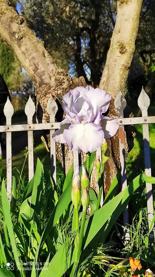 B&B La Casina Di Iris Arezzo 0*,  Italia