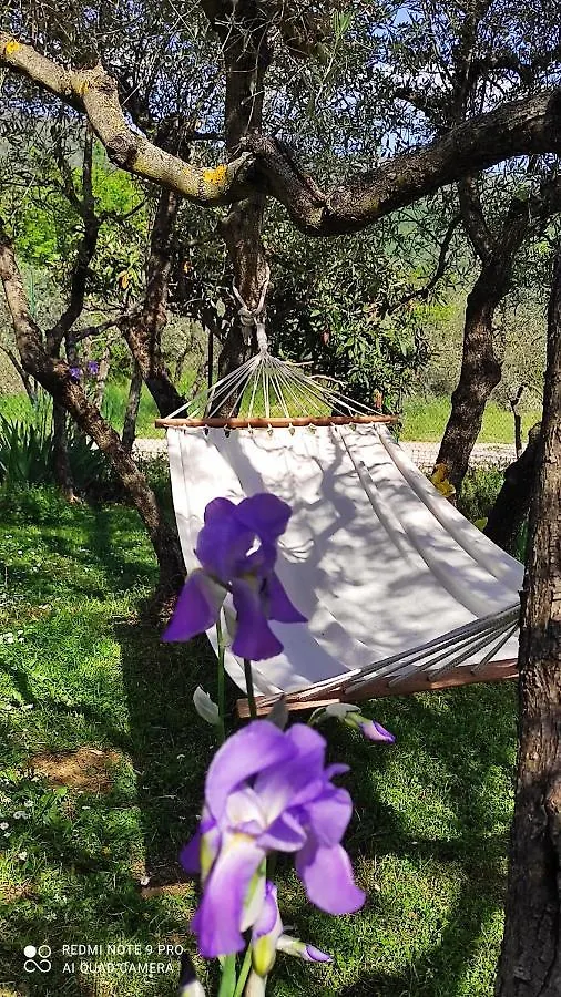 B&B La Casina Di Iris Arezzo Bed and breakfast
