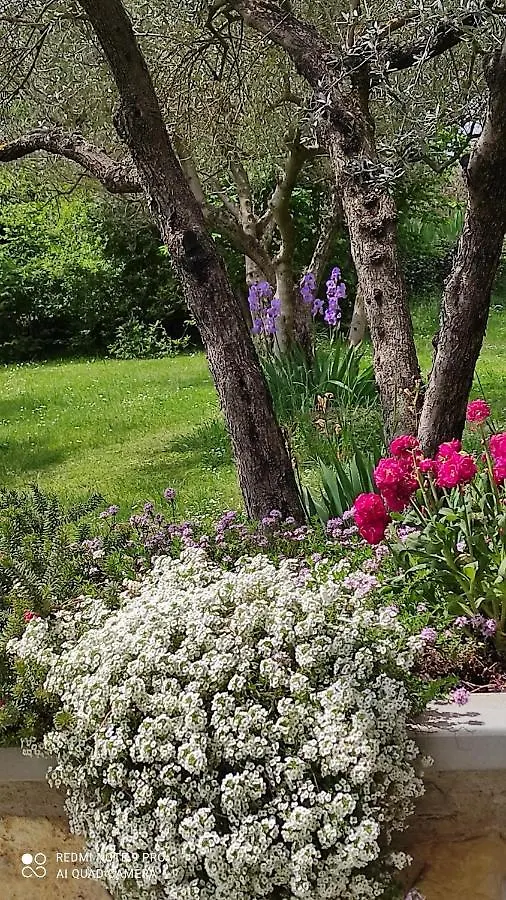 Bed and breakfast B&B La Casina Di Iris Arezzo Italia