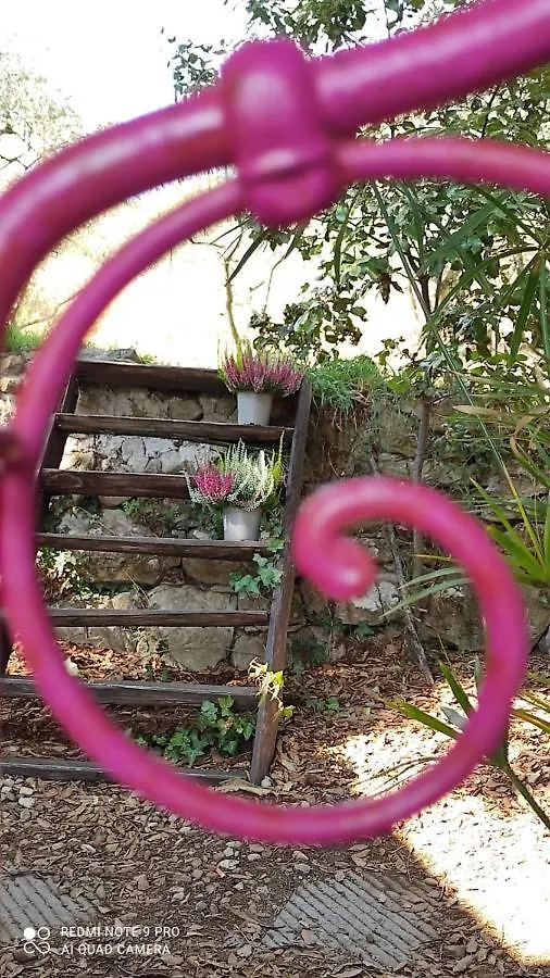 B&B La Casina Di Iris Arezzo