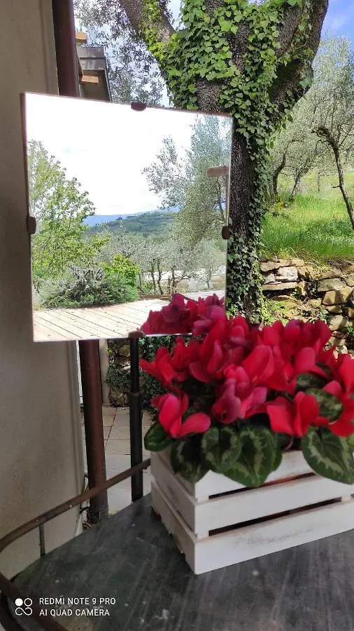 B&B La Casina Di Iris Arezzo 0*,