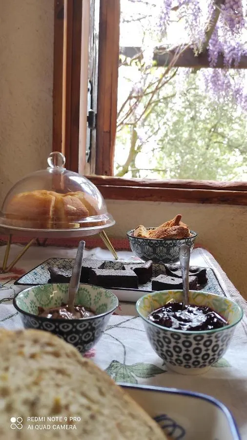 B&B La Casina Di Iris Arezzo Italia
