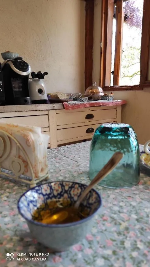 B&B La Casina Di Iris Arezzo Bed and breakfast
