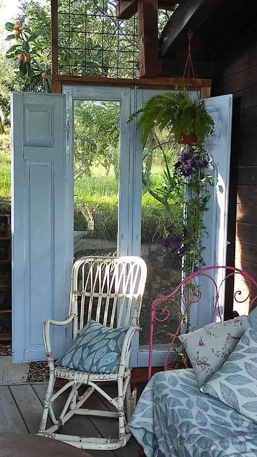 B&B La Casina Di Iris Arezzo