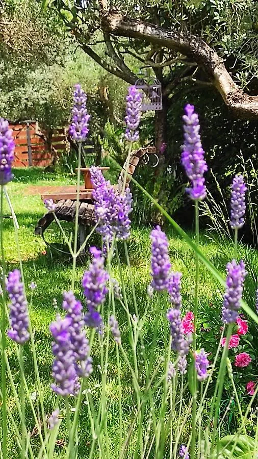 Bed and breakfast B&B La Casina Di Iris Arezzo