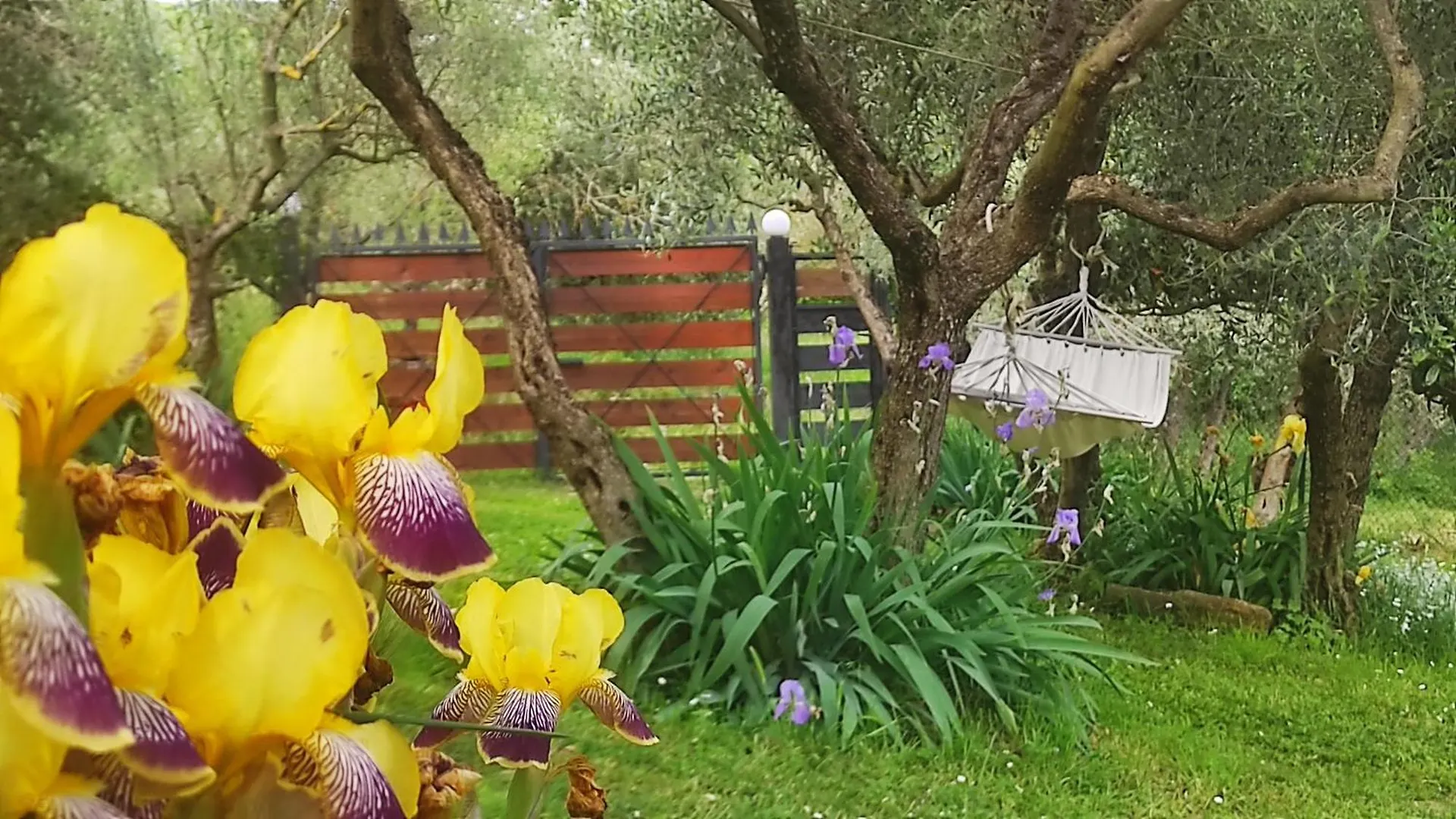B&B La Casina Di Iris Arezzo Bed and breakfast